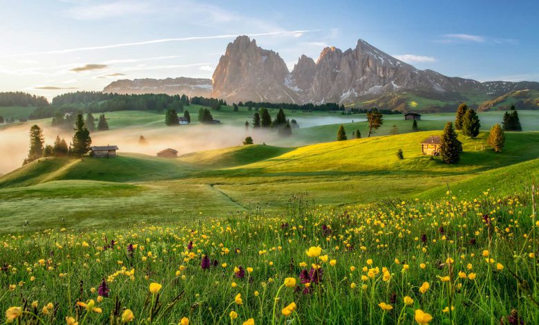  دانلود والپیپر طبیعت برای کامپیوتر full hd