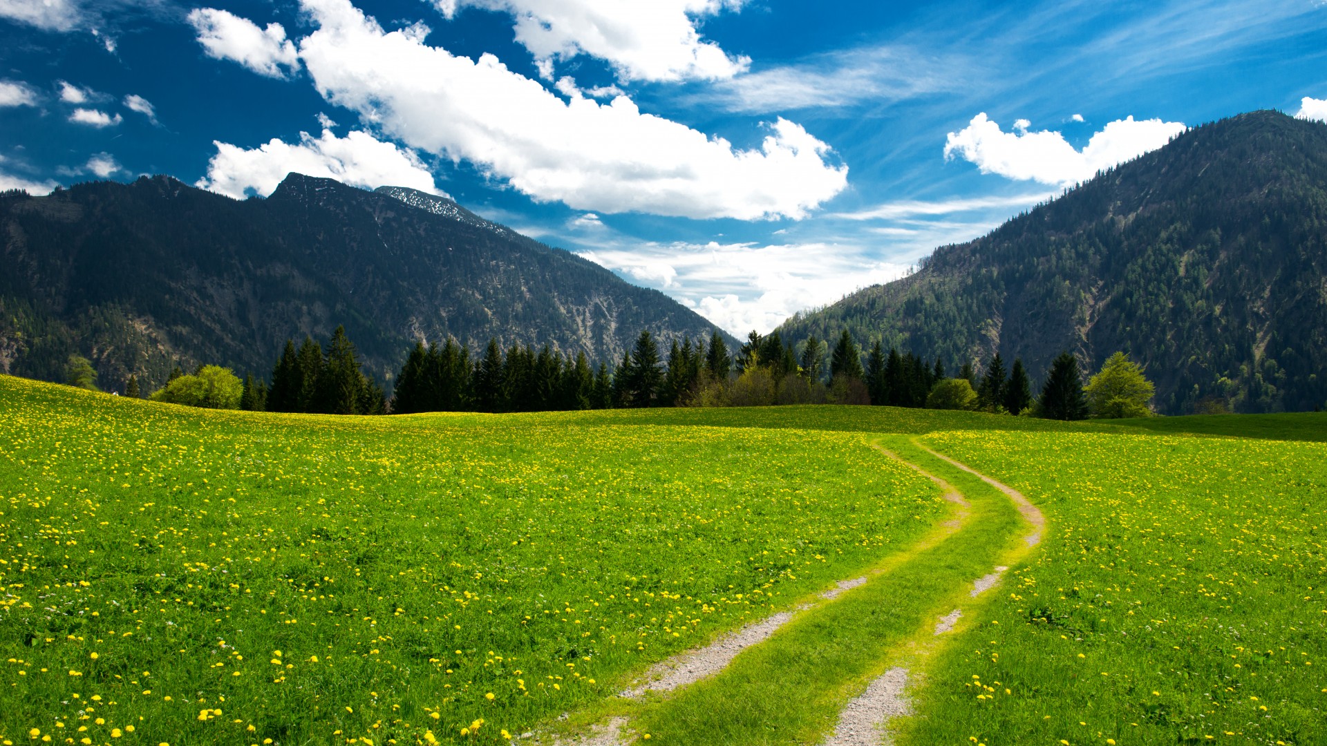  دانلود والپیپر طبیعت برای کامپیوتر full hd