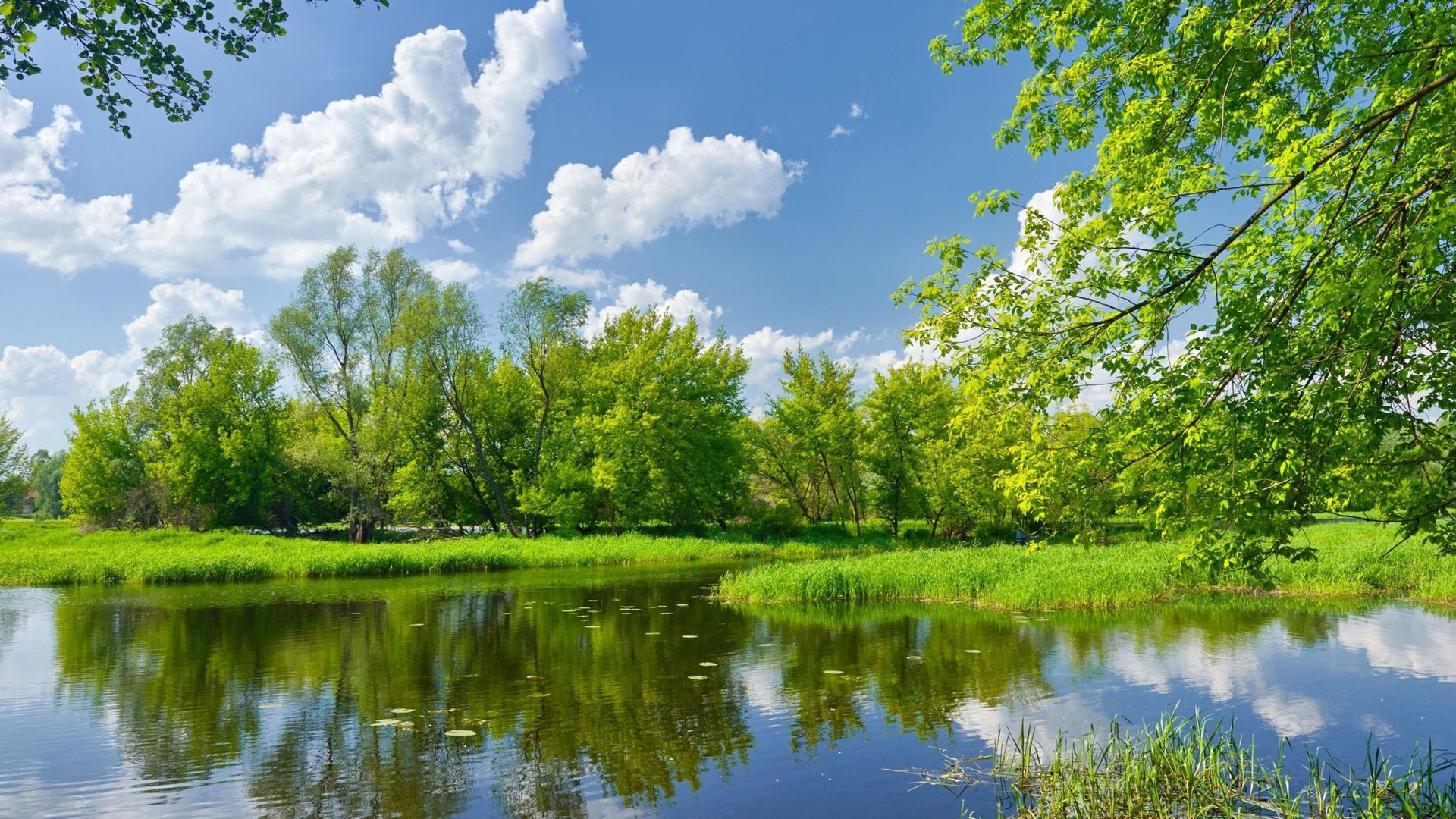  دانلود والپیپر طبیعت برای کامپیوتر full hd