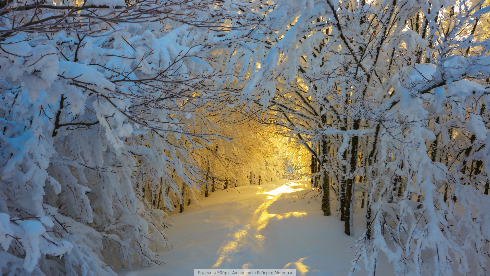  دانلود والپیپر طبیعت برای کامپیوتر full hd