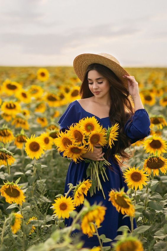 عکس گل آفتابگردان زیبا