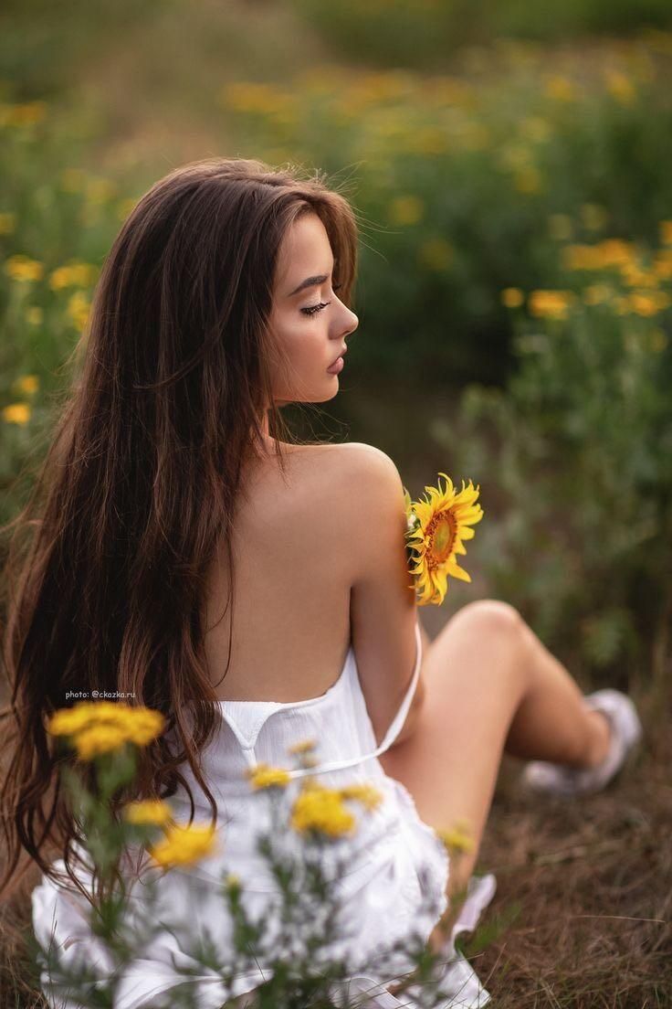 عکس گل آفتابگردان زیبا