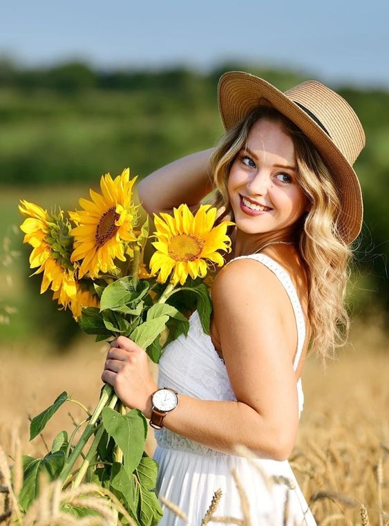 عکس گل آفتابگردان زیبا