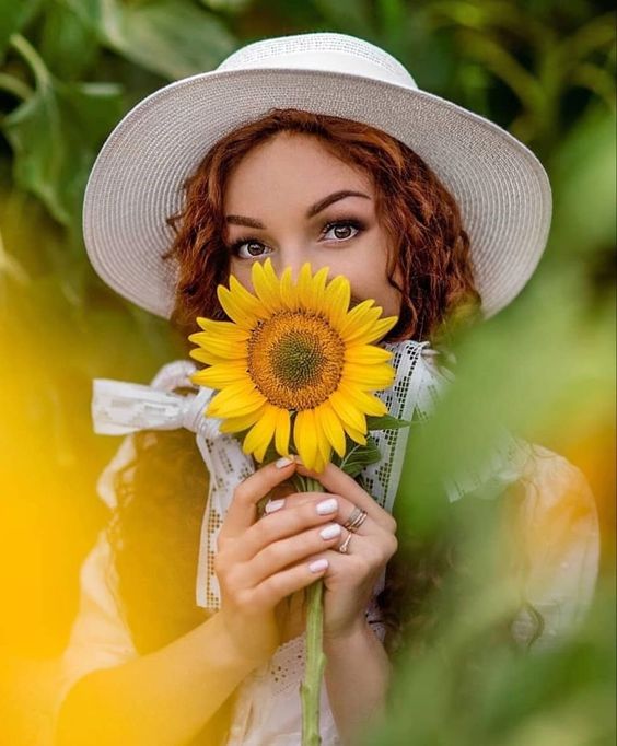 عکس گل آفتابگردان زیبا