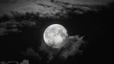  عکس عاشقانه جدید برای پروفایل