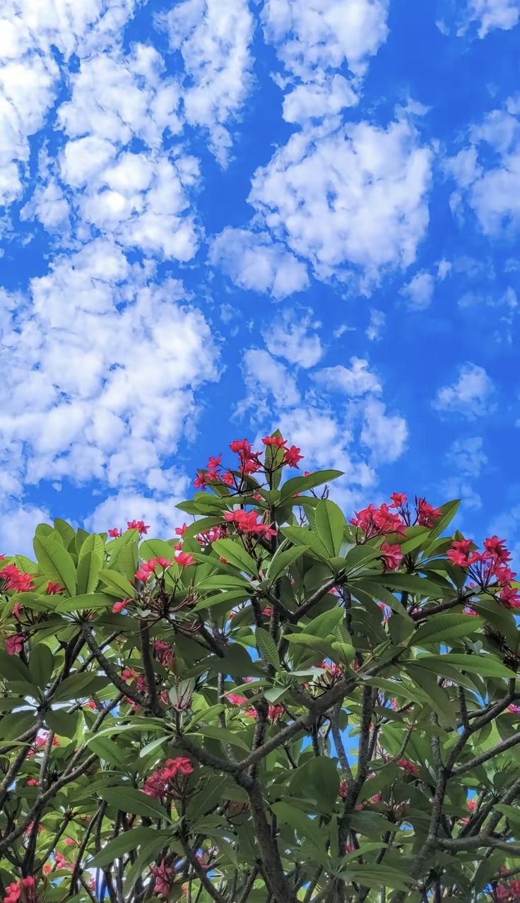 عکس خفن عکس آسمان طبیعی