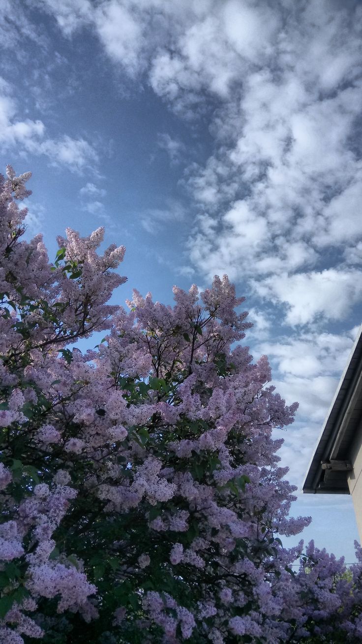 عکس آسمان طبیعی روز